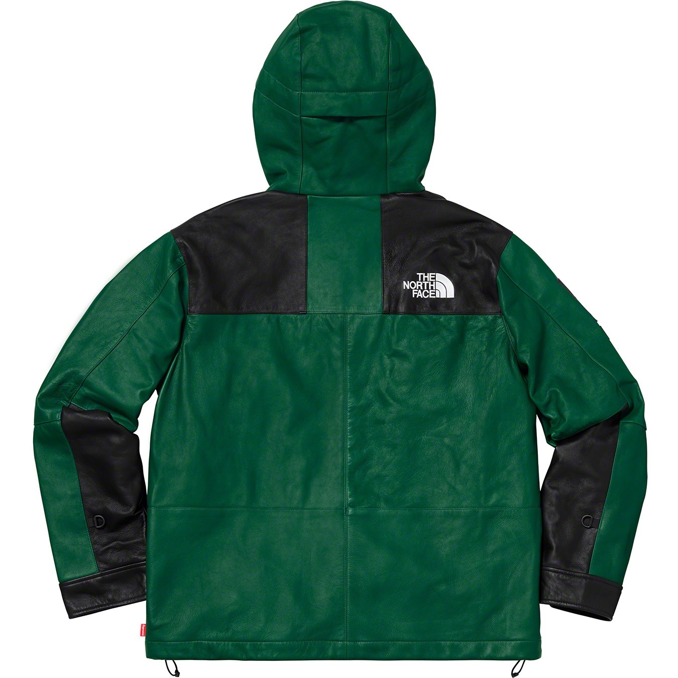Supreme®/The North Face® Leather Mountain Parka view 8